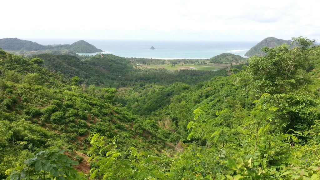 On the Road West of Kuta