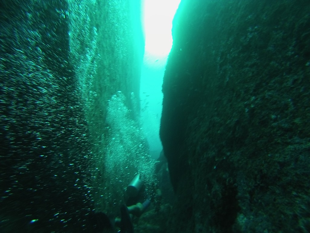 DCIM100GOPRO