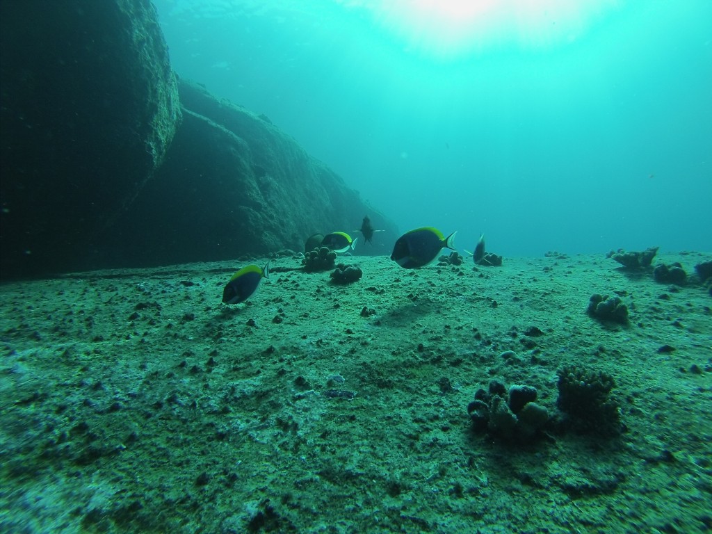DCIM100GOPRO