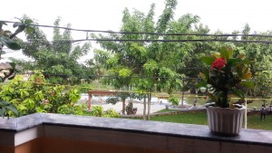 An Hoi Hotel - View from Restaurant
