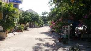 Hoi An - Bike Trip - Cam Nam Street