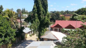 Puerto Princesa - Del Flora Balcony View