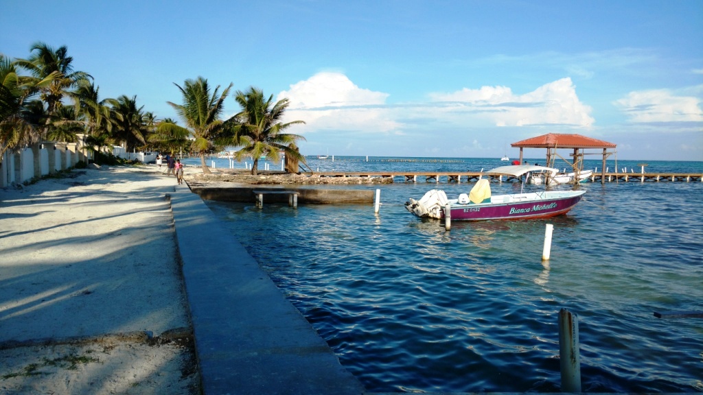 ambergris-pedros-beach-view-north