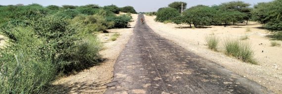 241106-Open-Road-1c.